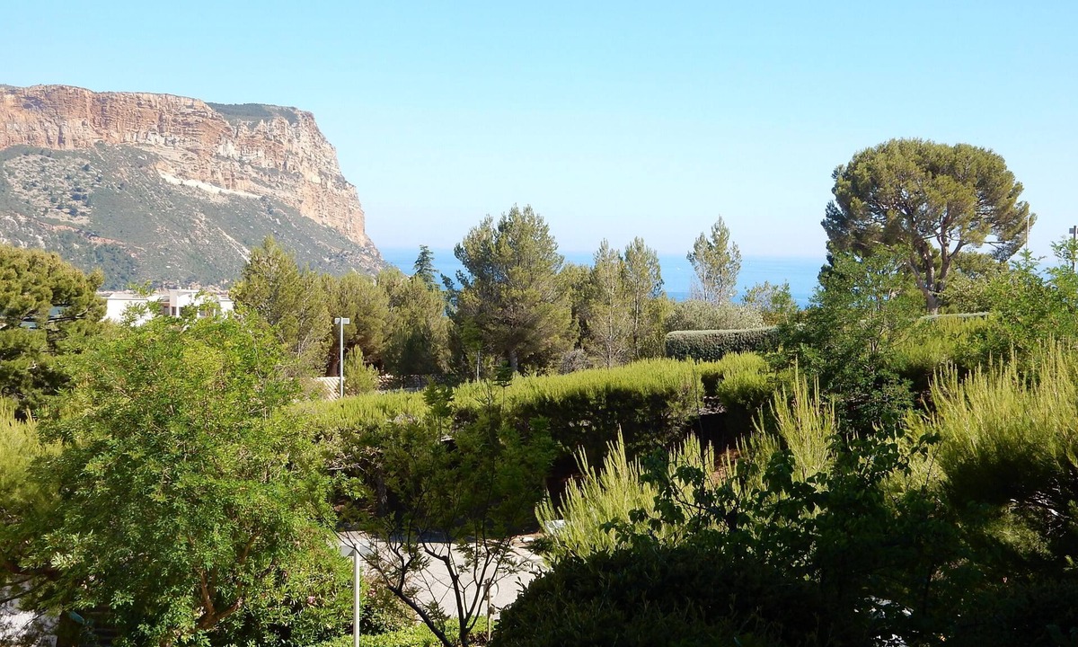 Cassis | Cassis