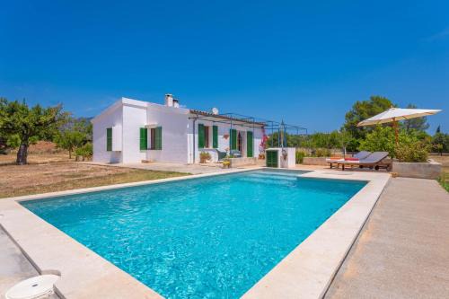 Ses Planes Adults | Selva