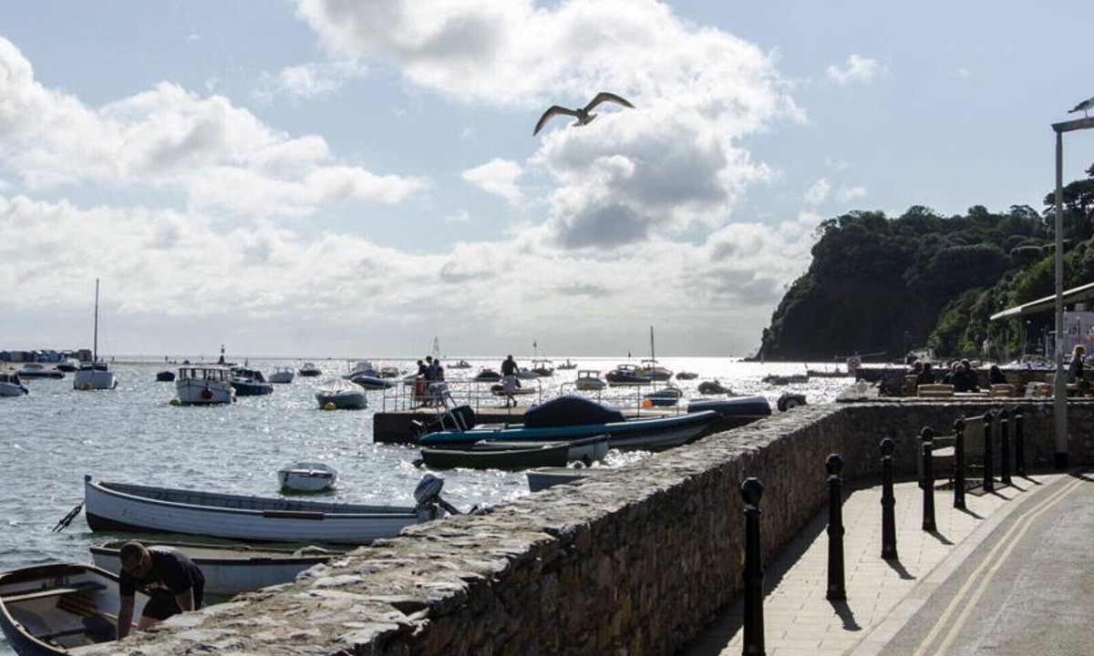 Shaldon Beach Hut | Shaldon