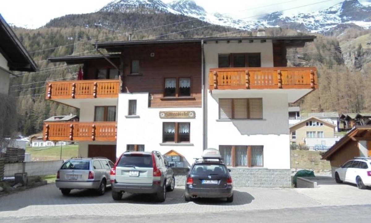 Silberdistel | Saas Grund