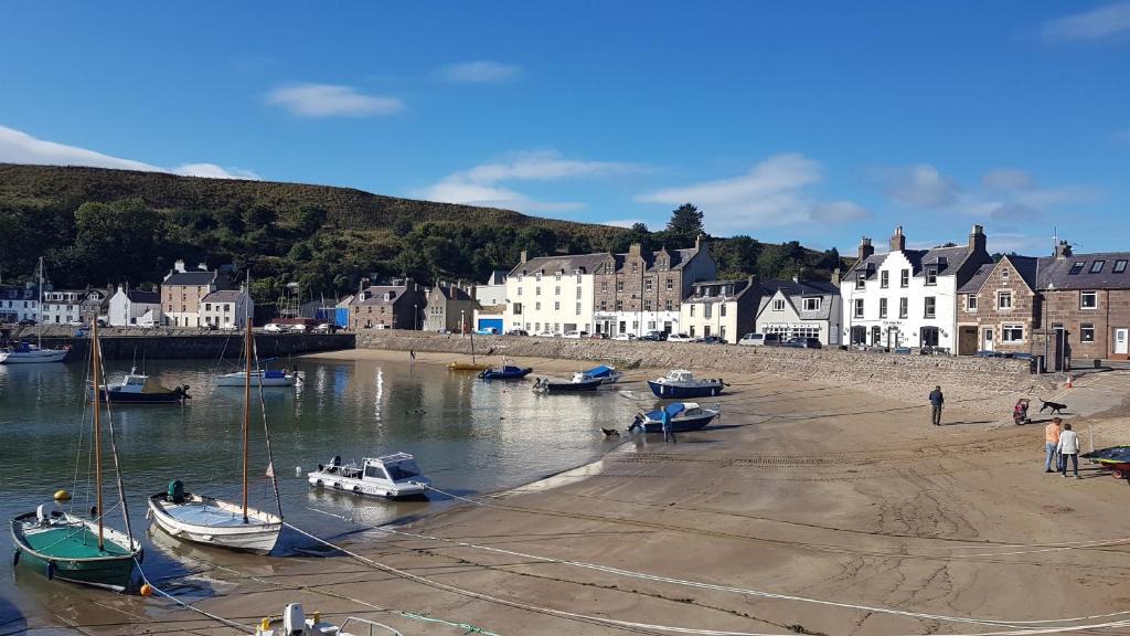 Harbour | Stonehaven