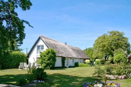 Gutshof Ostseeblick Ferienwohnungen Fewo Terrasse Gartennutzung | Neuendorf