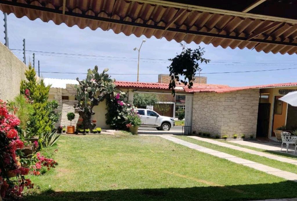 Mágico | Mineral de Pozos