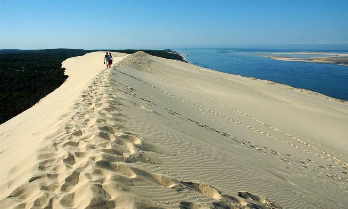 Les Pieds Dans | Arcachon