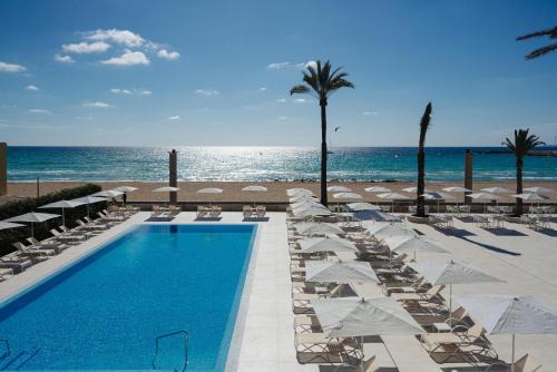 Thb El Cid Adults | Can Pastilla