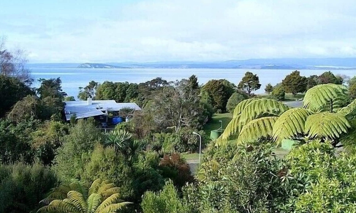 The Beeches Pukawa Bay Holiday | Omori
