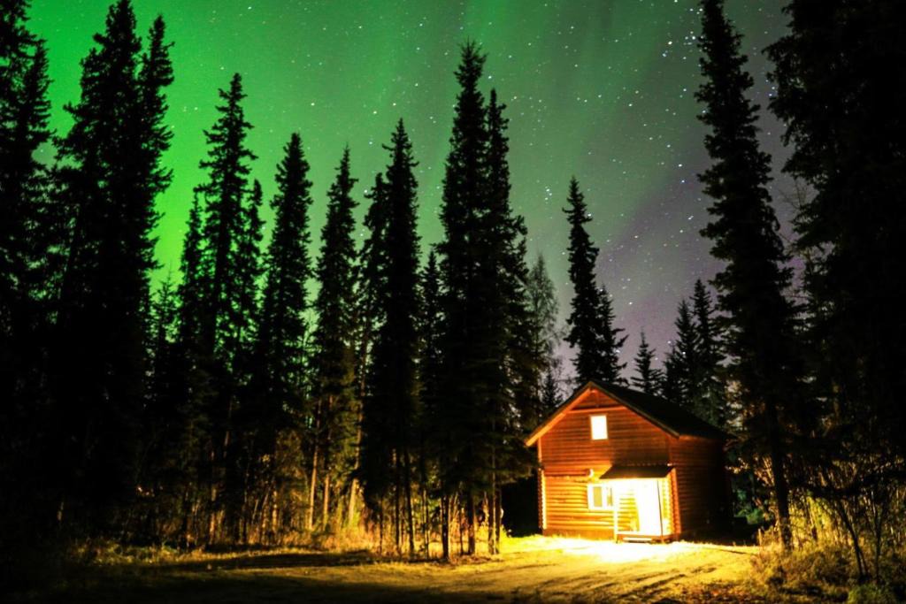 The Woods 森林小屋 | Fairbanks