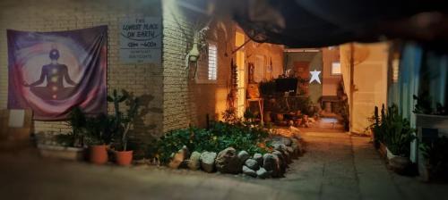 The Place Earth B | Neot HaKikar
