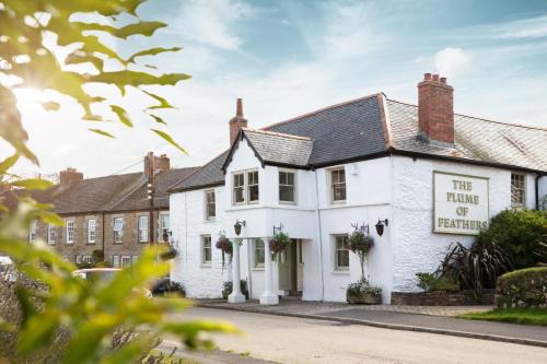 The Plume Of Feathers | Mitchell