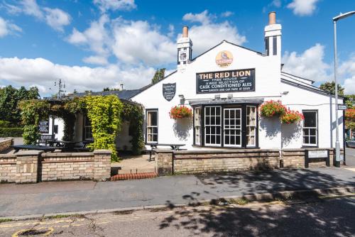 The Lion | Histon