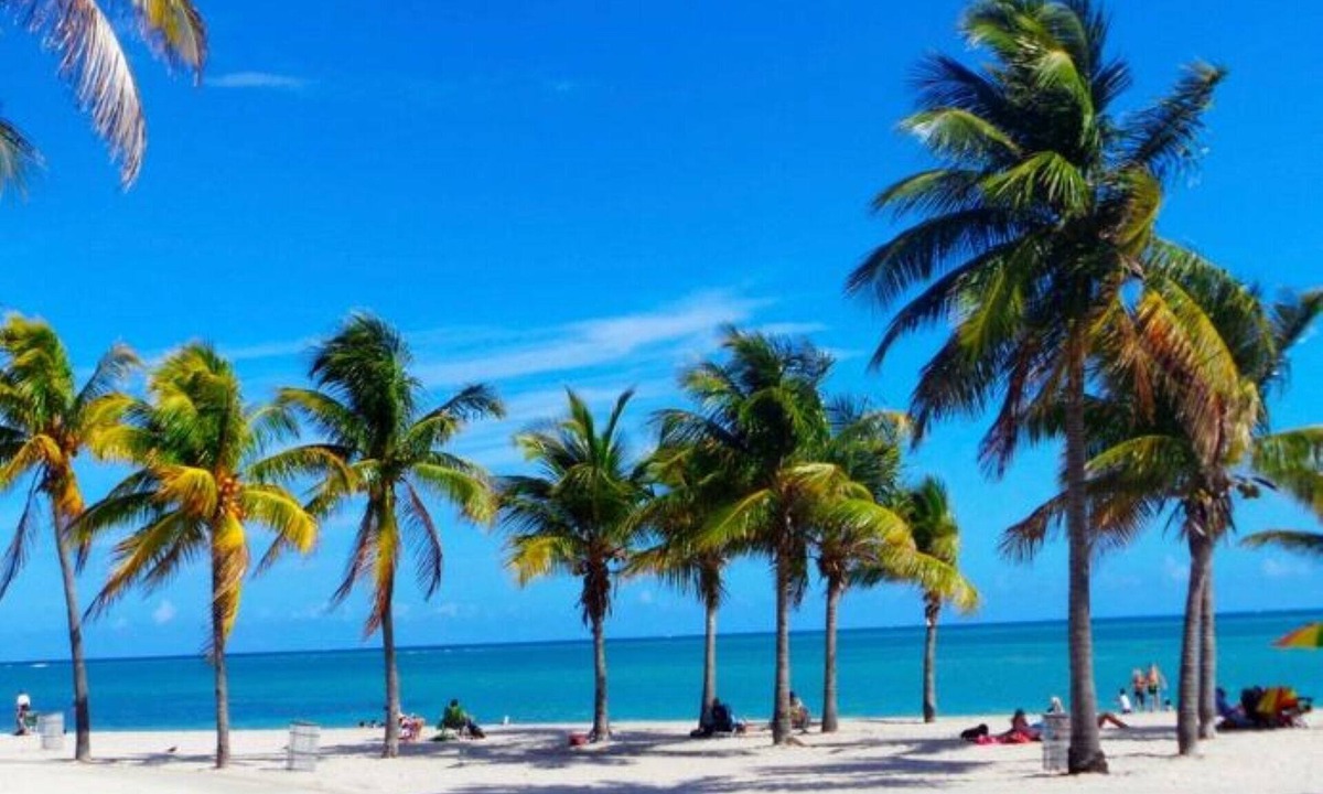 Arya Miami | Key Biscayne