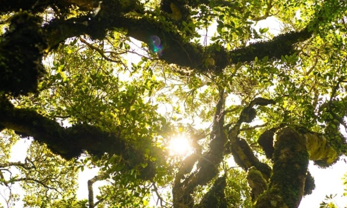 Unwind Taranaki Eco | Stratford