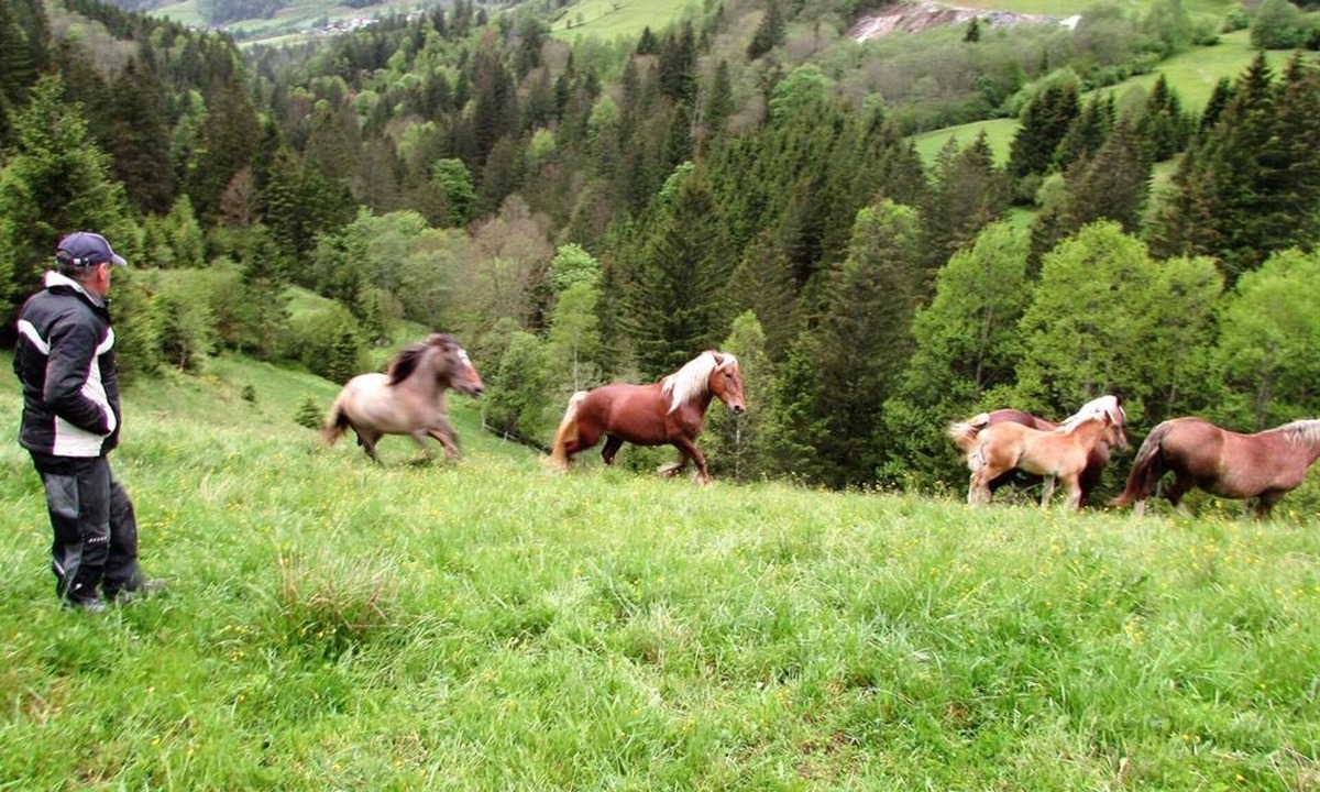 Vrbo Property | Mitterberg
