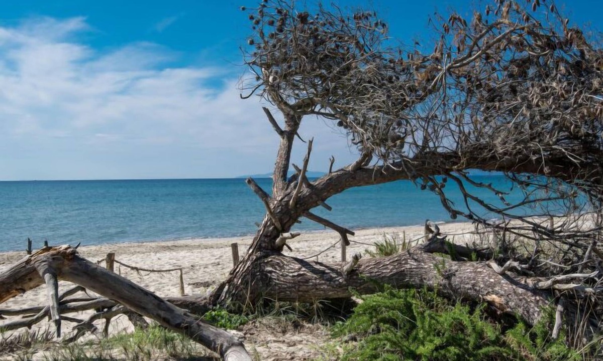 Mare Verde Follonica Persons | Riotorto