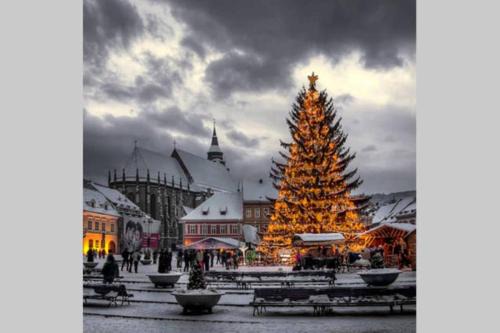 Downtown Hostel | Brasov City Centre