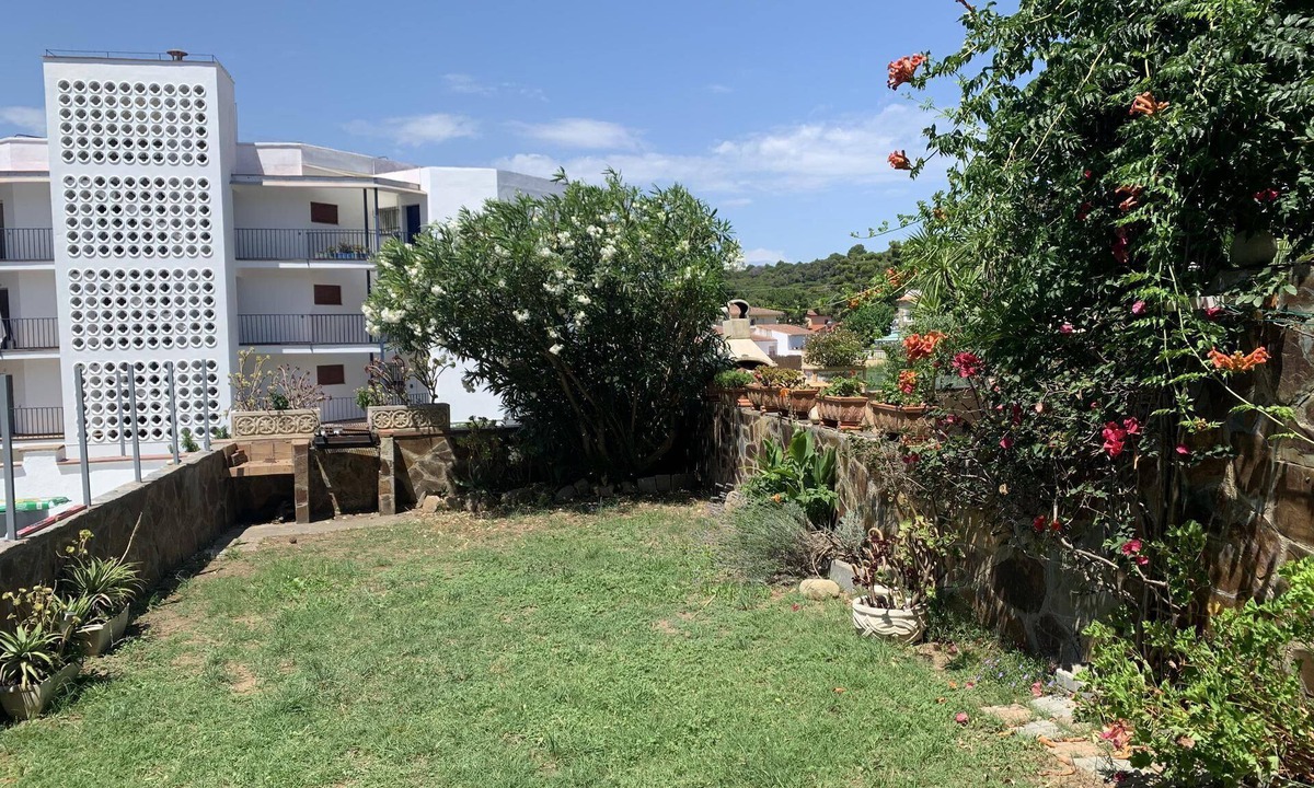 Wasela | Palamos