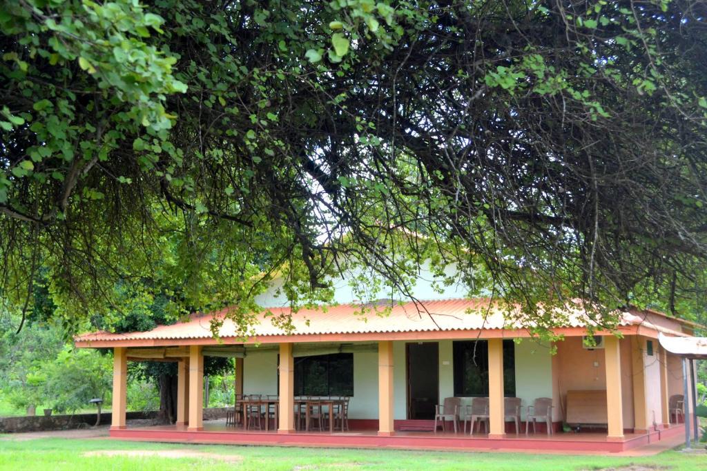 Wilpattu | Pahala Maragahawewa