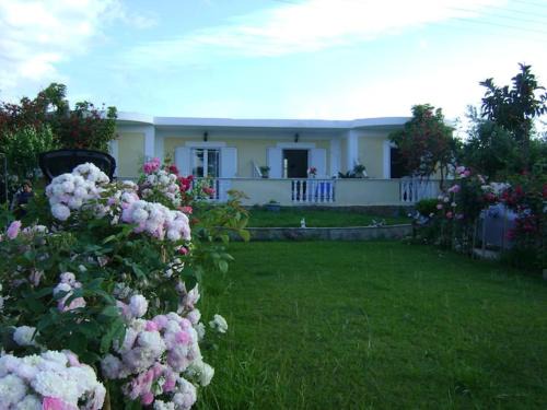 Zante Panorama | Drosia