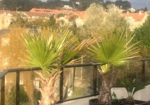 ÁTICO SANXENXO