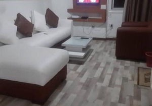 شقه مفروشه بالدقى للايجار مكيفه غرفه نوم وصاله ومطبخ وحمام استديو