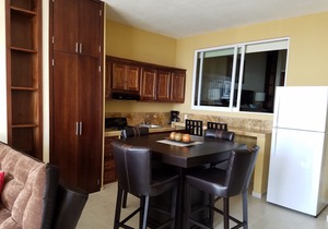 1-Bedroom 4th floor Ocean View Condo 406 at Vista Encantada