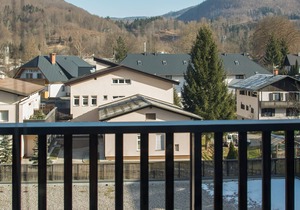 1 bedroom accommodation in Bohinjska Bistrica