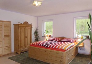 1 bedroom accommodation in Freiberg