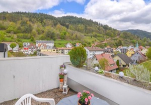 1 bedroom accommodation in Hornberg