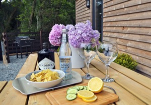 1 bedroom accommodation in Cwm-Cewydd, near Machynlleth