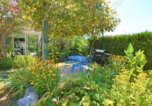 1 bedroom accommodation in Donzère