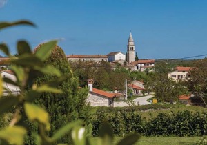 1 bedroom accommodation in Kringa