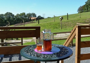 1 bedroom accommodation in Mydroilyn, near Newquay and Aberaeron