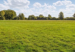 1 bedroom accommodation in Palgrave, near Diss