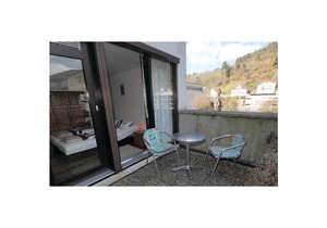 1 bedroom accommodation in Hornberg