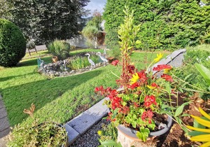1 bedroom accommodation in Schotten