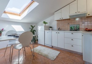 1 bedroom accommodation in Kanfanar
