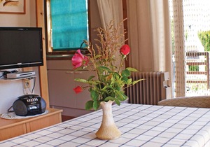 1 bedroom accommodation in Lassan