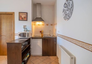 1 bedroom accommodation in Baena