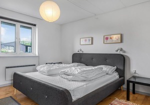 1 bedroom accommodation in Ribe