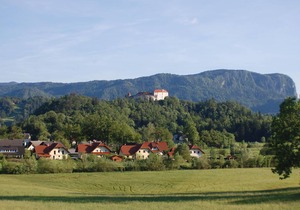 1 bedroom accommodation in Bled