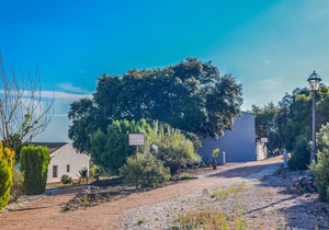 1 bedroom amazing home in Estepa