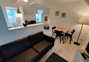 1-Bedroom Apartment With Private Park - Provstegården Bed & Breakfast