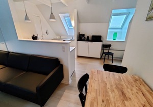1-Bedroom Apartment With Private Park - Provstegården Bed & Breakfast