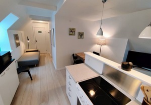 1-Bedroom Apartment With Private Park - Provstegården Bed & Breakfast