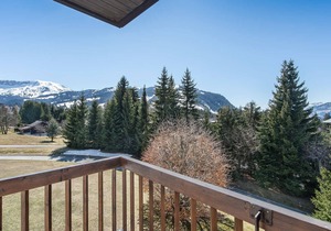 1-bedroom apartment with parking and elevator near the slopes in Megève