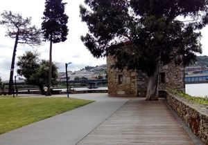 1 bedroom apt - 1 bed | Rueiro 17 - 1B