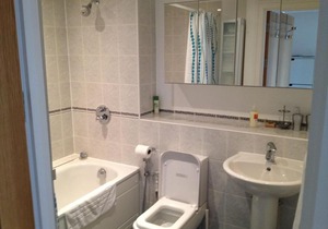 1 Bedroom in Chelsea Bridge Wharf