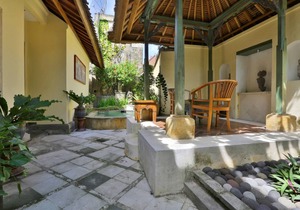 1 BR Villa near Ubud with a private plunge pool and a living area incl breakfast