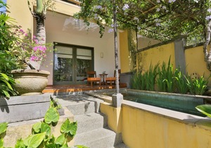 1 BR Villa near Ubud with a private plunge pool and a living area incl breakfast
