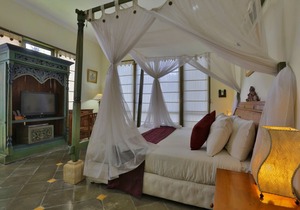 1 BR Villa near Ubud with a private plunge pool and a living area incl breakfast